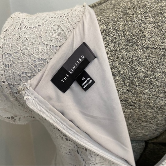The Limited Size 6 lace grey dress - Picture 5 of 5